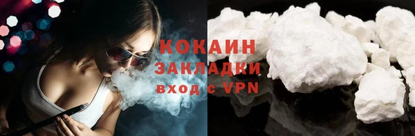 винт Верея
