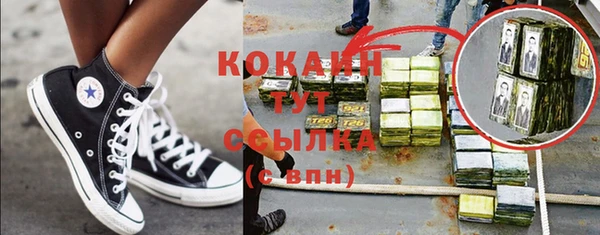 винт Верея